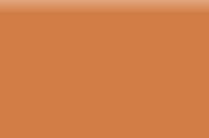 Color:Y8zsrbw984e= Sienna