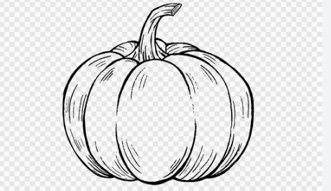 Outline:G7x5uoigido= Pumpkin