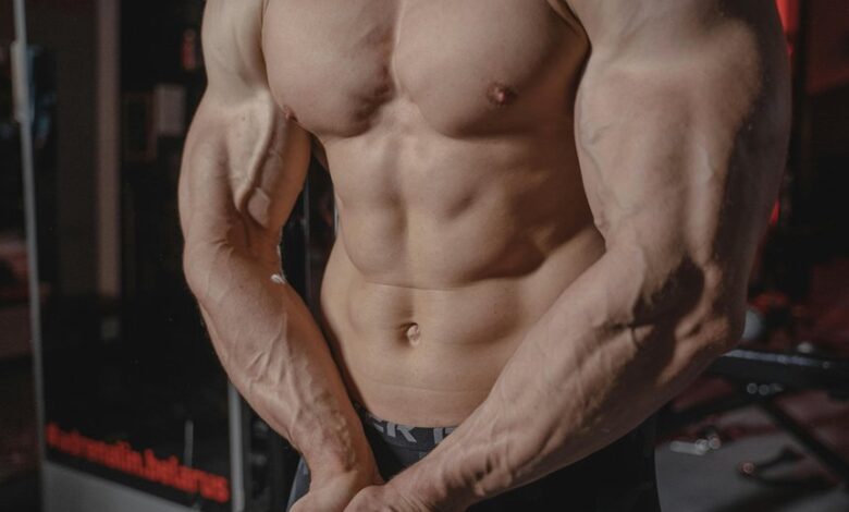 nip india flex model