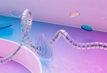 network compliance control numbers