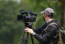 telecom operations contact numbers