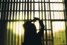 enterprise movement identification numbers