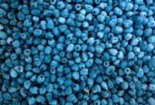 market signal analysis needed