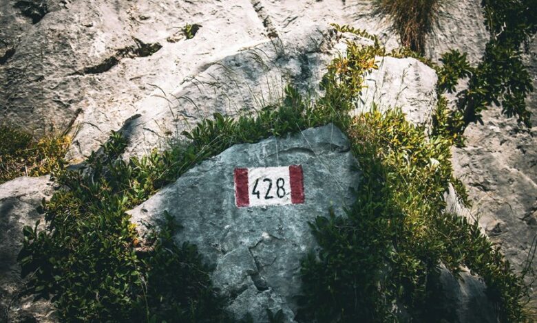 sector direction numeric codes