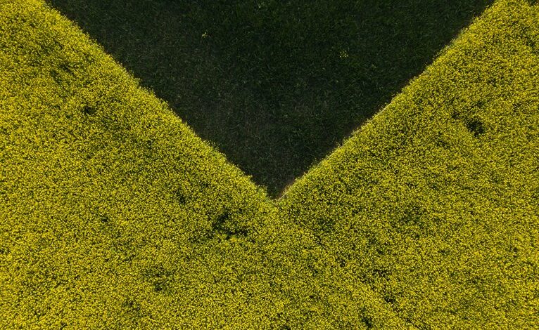 sector momentum analysis guide