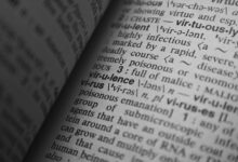 cultural keyword research portal