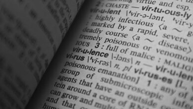 cultural keyword research portal