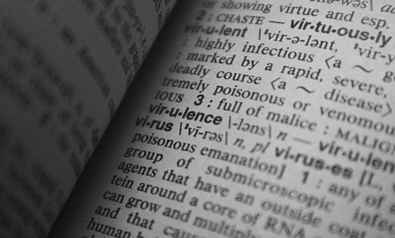 cultural keyword research portal