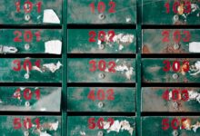 spam phone investigation portal features caller safety searches