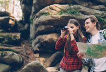 tracking code discovery portal