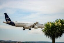 travel location insight hub lerdalsporten