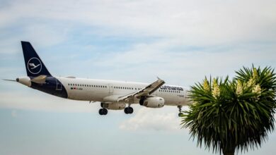 travel location insight hub lerdalsporten