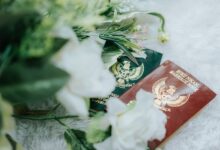browse verified registry listings by ids