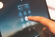 caller registry numbers inspected five ids listed