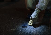 number registry entries identified above