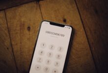 number registry search results for five ids