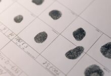 public registry numbers lookup results