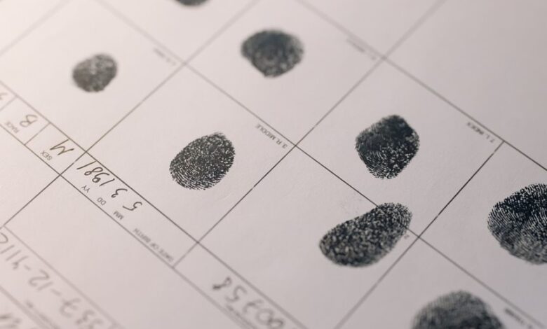 public registry numbers lookup results