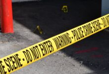 registry entries investigation details