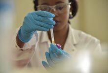 registry results reveal investigations contained