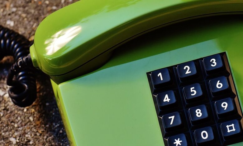 verify specific phone numbers in database